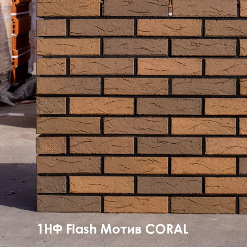 фотография Кирпич керамический Красная Гвардия "Flash Мотив Coral" 1NF одинарный, М175 Кирпич и Ко